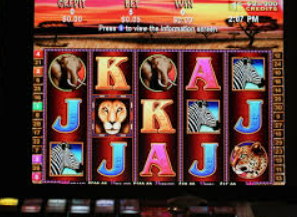 金女王模拟器(无限金币)桌面版客户端